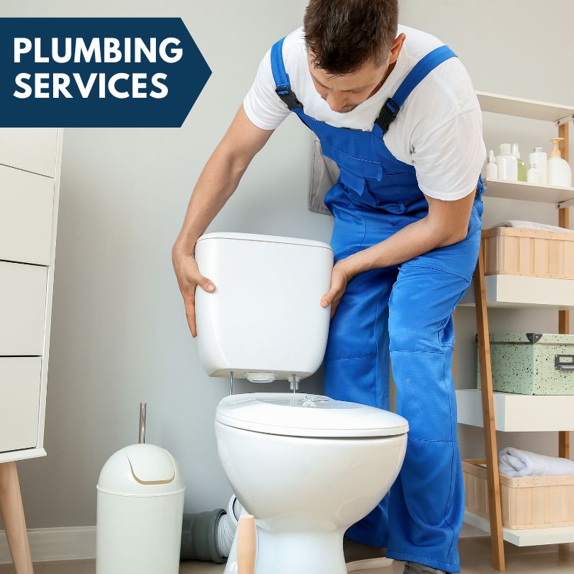 Plumbing Company in Pleasant City, OH
